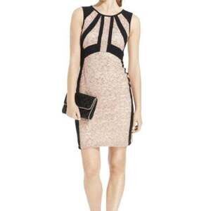 Ivanka Trump Tan (Rose Gold) and Black Lace Midi Dress